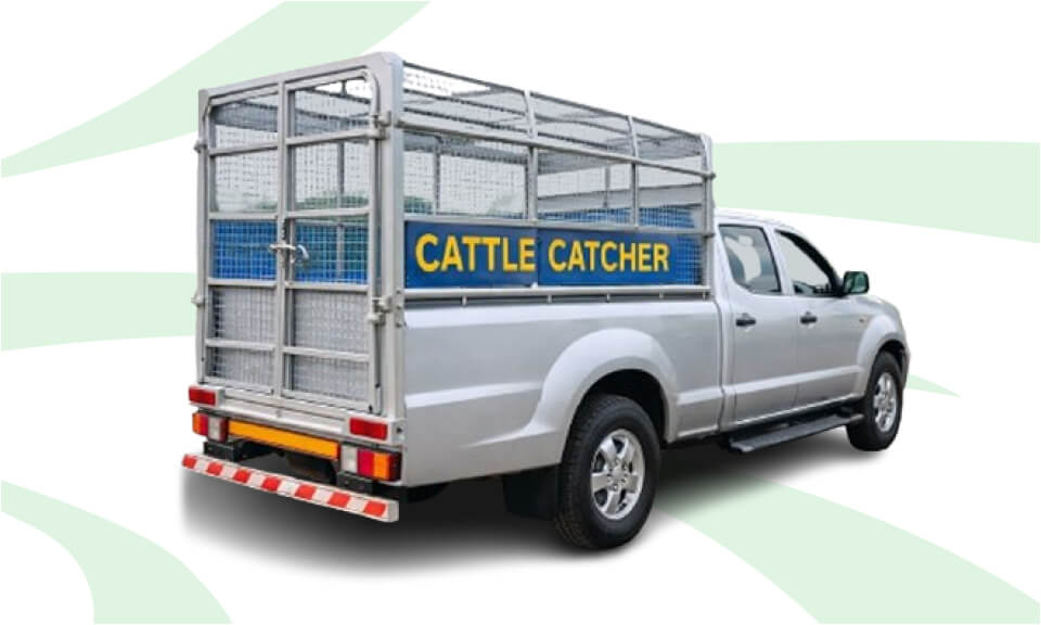 Cattle Catcher
