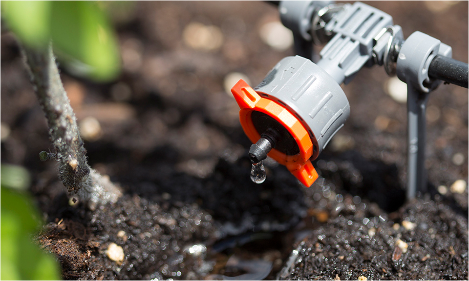 Drip Irrigation