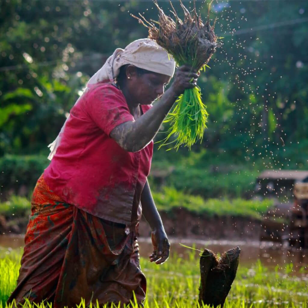 TryCycle with dustbin